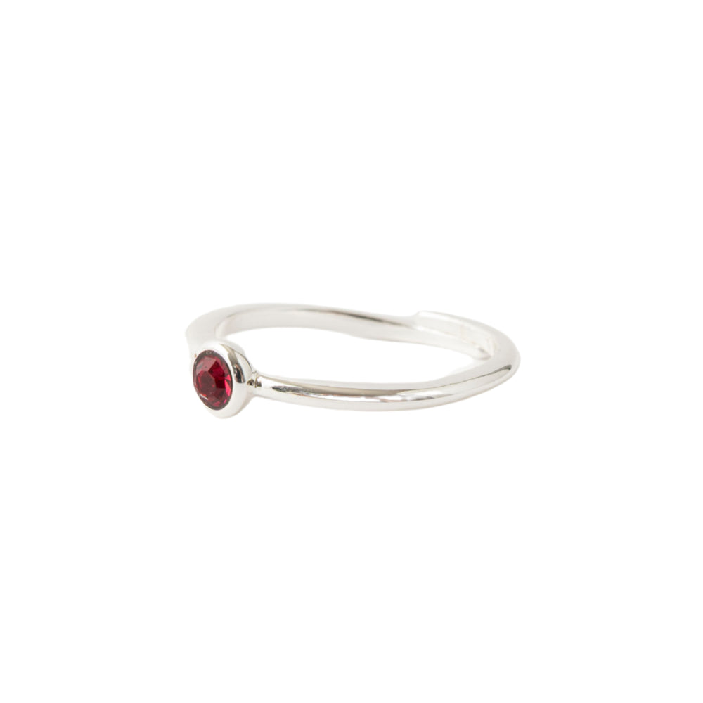 K&CO. Birthstone Adjustable Ring - JANUARY